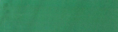 6123浅草绿 G+系列浅草绿6123 Solution Dyed polyester fabric