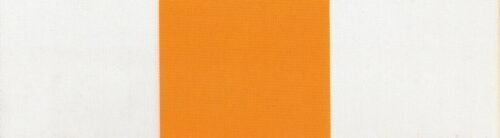 6208 G+系列6208 100%Solution Dyed polyester fabric