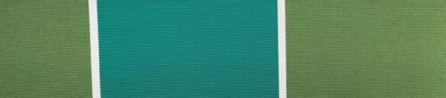 6303 G+系列6303 100%Solution Dyed polyester fabric