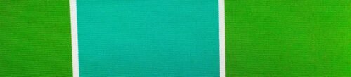 6311 G+系列6311 100%Solution Dyed polyester fabric
